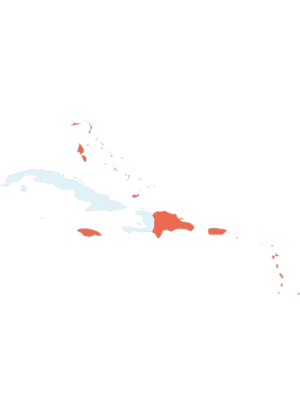 CARIBBEAN